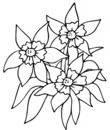 coloriage fleur a imprimer