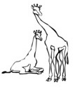 girafe coloriage pour imprimer