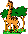 coloriage girafe