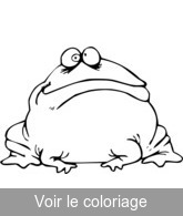 grenouille rigolote