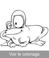 grenouille rigolote