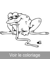 imprimer gratuitement coloriage grenouille