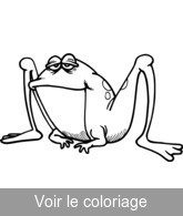 grenouille image  a colorier