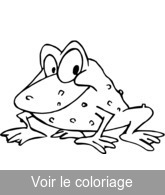 crapaud rigolo