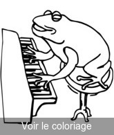 grenouille joue du piano