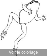 saut de grenouille grenouille coloriage gratuit