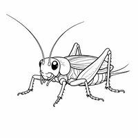 Coloriage grillon réaliste épuré, vue 3/4, pattes segmentées, ailes en contours, antennes fines