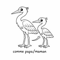 Coloriage deux hérons cartoon parent et petit, le petit imite la posture, flèche en contour, dessin enfant