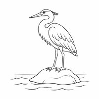 Coloriage héron réaliste simplifié posé sur un rocher au bord d’un cours d’eau, vaguelettes larges