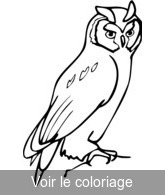 hibou esquisse gratuit a colorier