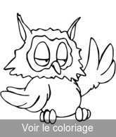 hibou dessin pour imprimer et colorier