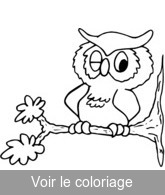 hibou esquisse a colorier