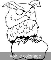 hibou dessin impression et coloriage