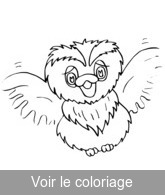 hibou crocquis imprimer et colorier