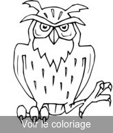 imprimer et colorier esquisse hibou