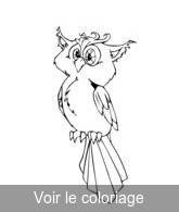 imprimer pour coloriage esquisse hibou