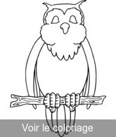 imprimer pour coloriage crocquis hibou