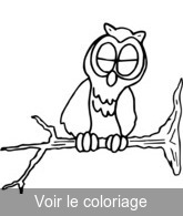 hibou coloriage pour impression et coloriage