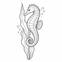 Coloriage hippocampe semi réaliste simple accroché à une grande algue ondulée, queue enroulée et bulles discrètes