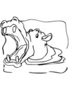 clip art hippopotame noir & blanc a imprimer