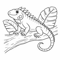 Coloriage iguane réaliste simplifié posé sur une branche épaisse, avec deux feuilles tropicales