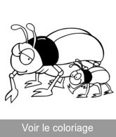 imprimer dessin insecte coleoptère