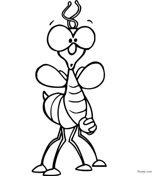 Coloriage insecte