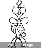 colorier dessin insecte a ailes