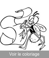 dessin mouche pour coloriage