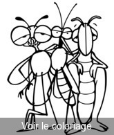 dessin insectes a colorier