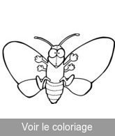 coloriage papillon gratuit