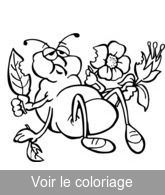 coloriage image insecte gratuit