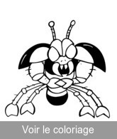 image insecte pour colorier