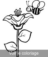 image gratuite abeille a colorier
