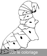 imprimer coloriage insecte chenille