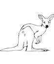 kangourou image noir & blanc gartuite