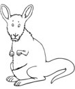 imprimer et colorier coloriage kangourou