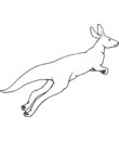 a colorier :GIF kangourou