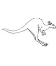 dessin kangourou noir et blanc a colorier