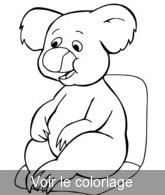 coloriage très jeune koala