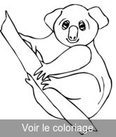 coloriage koala mignon à colorier