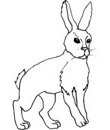 coloriage lapin noir et blanc pour coloriage