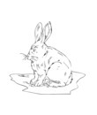 lapin crocquis a imprimer gratuitement