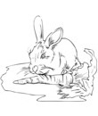 lapin GIF gratuit a colorier