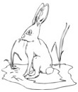 image lapin pour coloriage