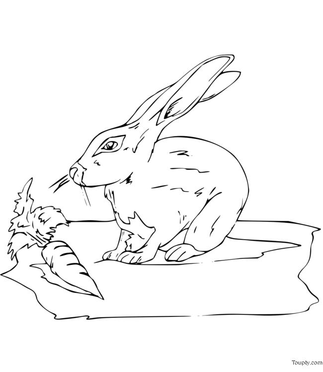 LAPINS  Imprimer le Coloriage de Lapin