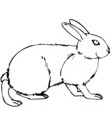 coloriage lapin noir & blanc a colorier