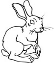 lapin dessin impression et coloriage