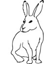 imprimer et colorier GIF lapin