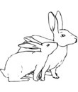 imprimer coloriage lapin